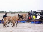 antarafoto tni al dan kkp kembali bongkar pagar laut di tangerang 1737530482_ratio 16x9