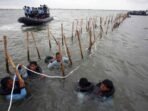 antarafoto tni al dan kkp kembali bongkar pagar laut di tangerang 1737612103 11zon 1798227468fc2a8eb1e5feb0ec197e78_600x400