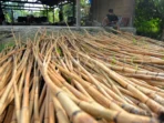 pengolahan-rotan-manau-di-mentawai-1a8v6-dom